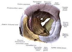 A slit through a bone (ex: orbital fissures behind the eye)