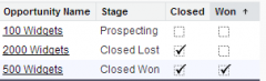 Standard fields “Closed” and “Won” provide an easy way to summarize opportunity information in reports:


 


Closed: True if Stage Type is “Closed/Won” or “Closed/Lost”, else False.


 


Won: True if Stage Type is “Closed/Won...