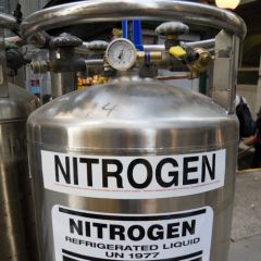 nitrogen [n -es]