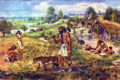 The change from hunting and gathering to farming and domestication of animals.


Noun


The Neolithic Revolution was a turning point in history