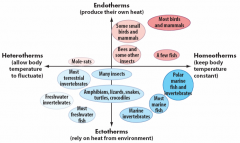 Homeotherm ‐ constant body temperature 



Heterotherm ‐ variable body temperature 

Ectotherm ‐ follows ambient temperature 

Endotherm ‐ generates and retains heat 



Stenotherm ‐ tolerates small changes in temperature  

Eu...