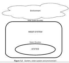 a form or structural framework that is a base of comparison.The barebones of the system are:
- System (Formal System)	
- Wider system 	
- Environment