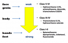Weaker, class V - VI:
- Hydrocortisone 2.5%
- Aclomethasone
- Desonide
- Triagmcinolone 0.025%