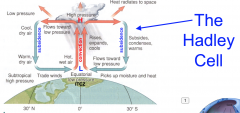 Low pressure at the surface at the equator. Hot, wet air.


Air rises by convection. It rises, expands and cools. Creating high pressure at higher altitude.


Some heat radiates to space.


The air flows towards low-pressure area.
It becomes cool ...