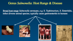 Salmonella: Broad Host-Range