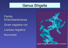 Genus Shigella