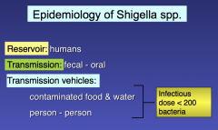 Shigella Epidemiology