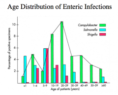 Age Distribution of Enteric Infections