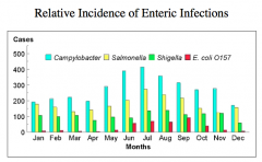 Relative Incidence of Enteric Infections
