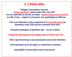 Chlamydia: Pathogen