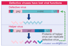 defective transducing retroviruses