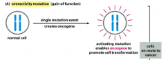 Gain-of-Function Mutations
