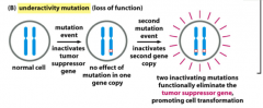 Loss-of-Function Mutations