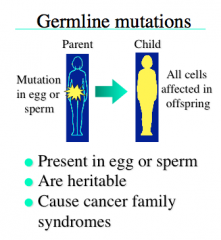 Germline Mutations