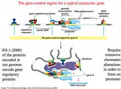 Genetic Control Regions