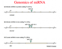 Genomics of miRNA