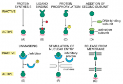 Regulation of Transcription Factor activity: release from the membrane