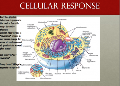 Cells can adapt to stress to prevent injury. 

*IMPORTANT* with adaptations there is NO LOSS OF FUNCTION at the cellular keel. So the adaptations are REVERSIBLE. This means that when the stress is removed, the cells can go back to normal.
