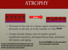 *Decrease in size AND/OR number of cells.* resulting in a decrease in tissue organ size.

Principle of Supply vs Demand
-if the demand is low, then there is a lower need for supply and cells with atrophy to match the demand