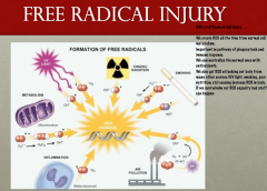 How do free radicals lead to cell injury? When do ROS levels become a problem?
