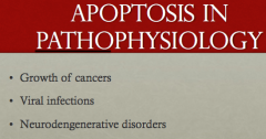Apoptosis becomes unregulated, which normally results in a loss of function. So you'll see pathologies like cancer growth (nothing dying), viral replications, and neurodegenerative disorders (the wrong things dying)