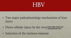 HBV can act thru direct cellular injury (viral lysis of new visions) or through the induction of the immune response.