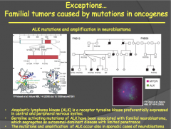 ALK is a receptor tyrosine kinase that is expressed preferentially in the CNS and PNS.

It is inherited in an *AUTOSOMAL DOMINANT fashion with LIMITED PENETRANCE* and causes familial neuroblastoma.

Keep in mind that ALK is not a universal oncogene.