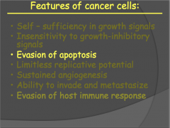 How can the apoptosis pathway be disrupted in cancer cells?
