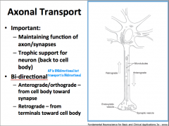 axonal transport can be anterograde (toward the axon terminal) or retrograde (away from the axon terminal)
