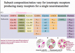 Each receptor has numerous subunits that can be combined to form a receptor.

For nicotinic ACh receptors, including gamma and delta subunits with alpha and be a subunits creates a muscular nicotinic ACh receptor, while using  varying combinations of al