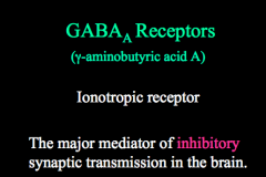 Describe the structure and characteristics of GABA receptors
