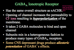 Pore is positively charged! This allows Cl- to enter the cell, hyper polarize it, and send an inhibitory signal.

Subunits can mix to form varying types of GABA receptors and it takes 2 GABA molecules to open this receptor