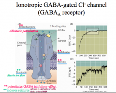 CNS depressants act to allosterically potentiate GABAs effects, meaning that these drugs will keep GABA receptors open and inhibit and neuron that has this receptor on it.

Remember, allosteric sites do not interfere with the binding site and thus are N