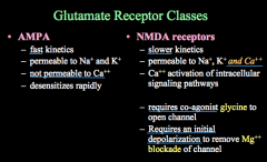 AMPA receptors have fast kinetics and desensitize rapidly. They are permeable to Na+ and K+, but NOT to Ca++.
