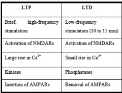 Interestingly, there is a complementary nature between LTD and LTP. LTD depression can erase an increase in EPSP caused by LTP and *vice versa*, suggesting that *LTP and LTD act at a common site to affect synaptic efficiency!*

Both LTP and LTD require 