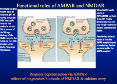 NMDA receptor channels are permeable to Ca+². When stimulated, these channels stay open 10x longer than AMPA receptors, allowing so much Ca+² to tush in that it would evoke LTP changes. 
But normally, Mg+² blocks these pores. This Mg block is voltage dep