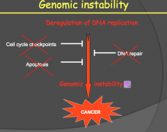 No longer protected from DNA damage, so the cells can start to proliferate uncontrollably.
