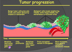First step is us losing our tumor suppressor genes.

Then we get more and more changes with time.