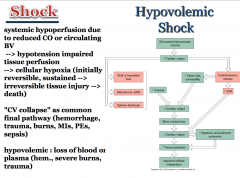 Hypovolemic: loss of blood or plasma (hemorrhage, sever burns, trauma).