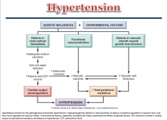 Regulation of blood pressure is a complex equilibrium maintained and influenced by several factors. Both genetic and environmental components contribute to hypertension.