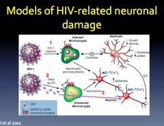 How does HIV enter the CNS?