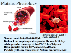 How are Platelets activated?