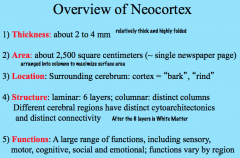 The neocortex is relatively thick and highly folded to increase surface area and the number of columns (computational units).

It completely surrounds the cerebrum to form the superficial layer of the brain.

The neocortex has 6 layers in distinct col