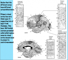 Layers III and V of the primary motor cortex (Brodmann 4) are very thick with lots of pyramidal cells because they need to project to areas such as the spinal cord and pons to allow movement.

In contrast, primary visual cortex (Brodmann 17) has a very 