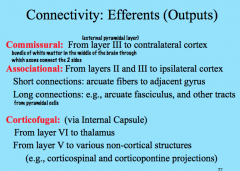 Commissural projections move contra laterally from one hemisphere to the other via commissures, which are bundles of white matter that connect the two hemispheres. They originate primarily from Layer III (external pyramidal layer).