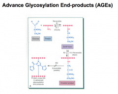 Chronic hyperglycemia increases the rate of NON-ENZYMATIC glycosylation of protein. This results in large amounts of *Advanced Glycosylation End-Products (AGEs)*
-AGEs are cross-linked proteins that can no longer perform their normal function.