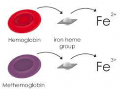 Heme group with Fe3+ (instead of Fe2+ which is found in normal hemoglobin)