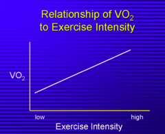 As exercise intensity increases, VO2 increases
