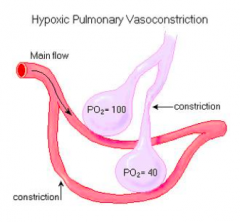 Blunting of hypoxic pulmonary vasoconstriction