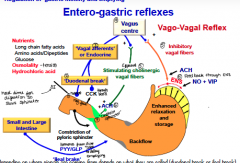 1. Activation of sensory vagal afferents (integration in vagal center) 
2.Effects of stimulation of vagal efferents 
3. Feed-back control by gastro-intestinal hormones